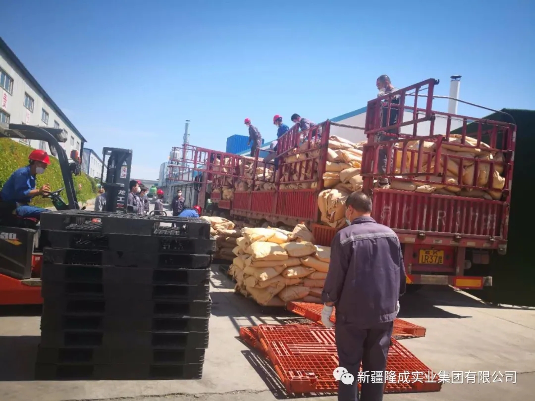 戰(zhàn)疫情，再出發(fā)