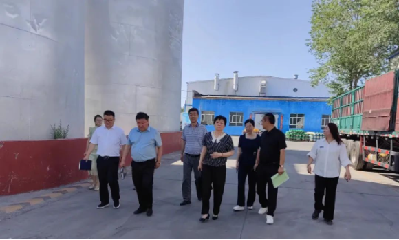 提信心 促發(fā)展|奎屯市副市長(zhǎng)、伊犁州科技局局長(zhǎng)、奎屯市科技局局長(zhǎng)一行調(diào)研金雪馳奎屯工廠